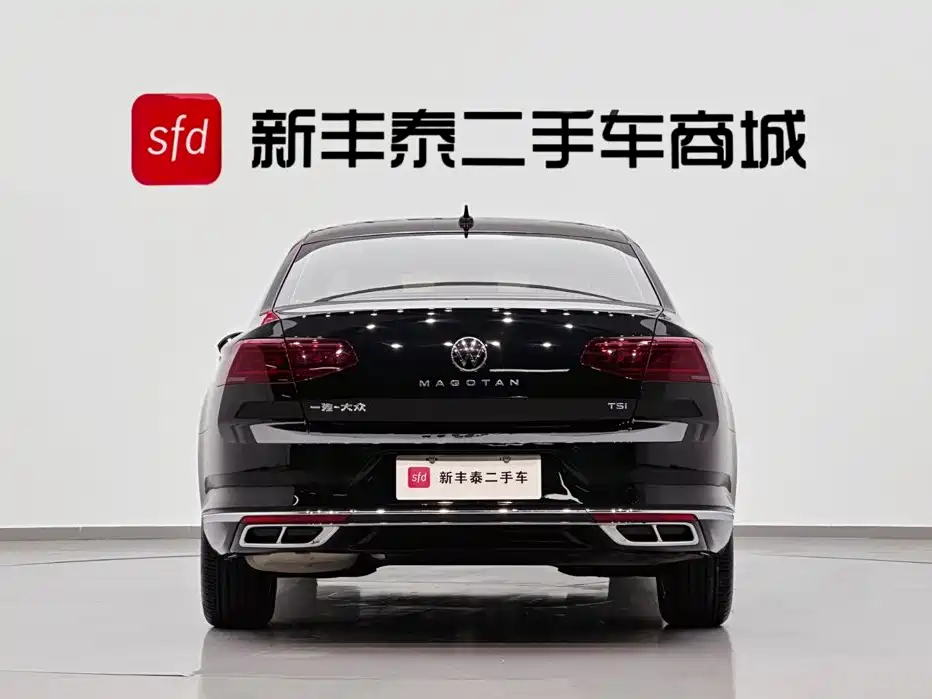 Volkswagen Magotan, миниатюра 7