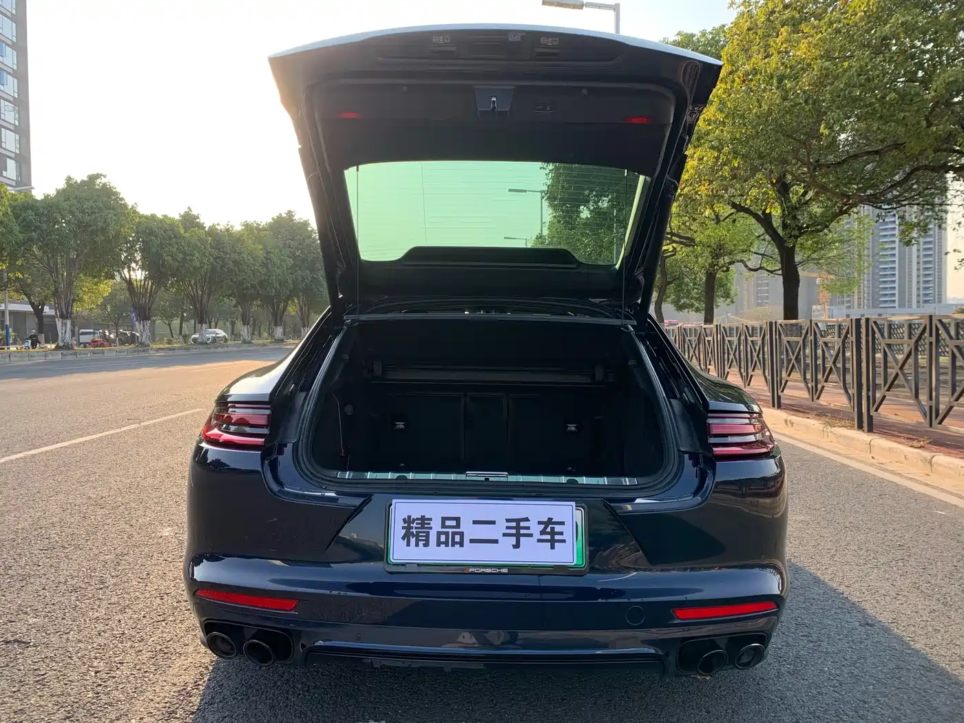 PORSCHE PANAMERA NEW ENERGY