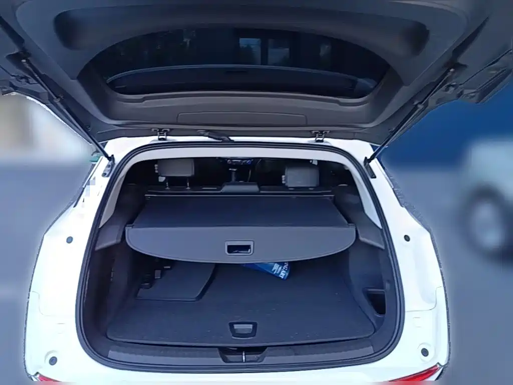 Photo 10 - Buick Velite 6