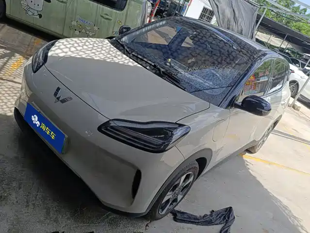 Wuling Motors Wuling Binguo PLUS 2024