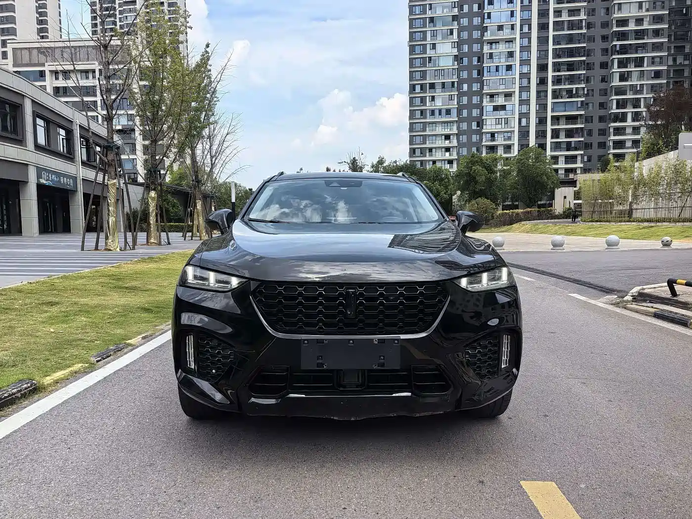 WEY VV7 2019 2017 2.0T Flagship