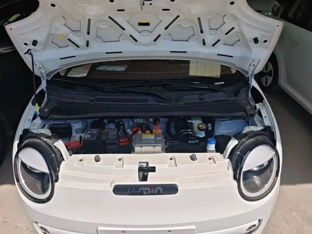 Changan Lumin 2026 2026 Model 205km Treasure Edition