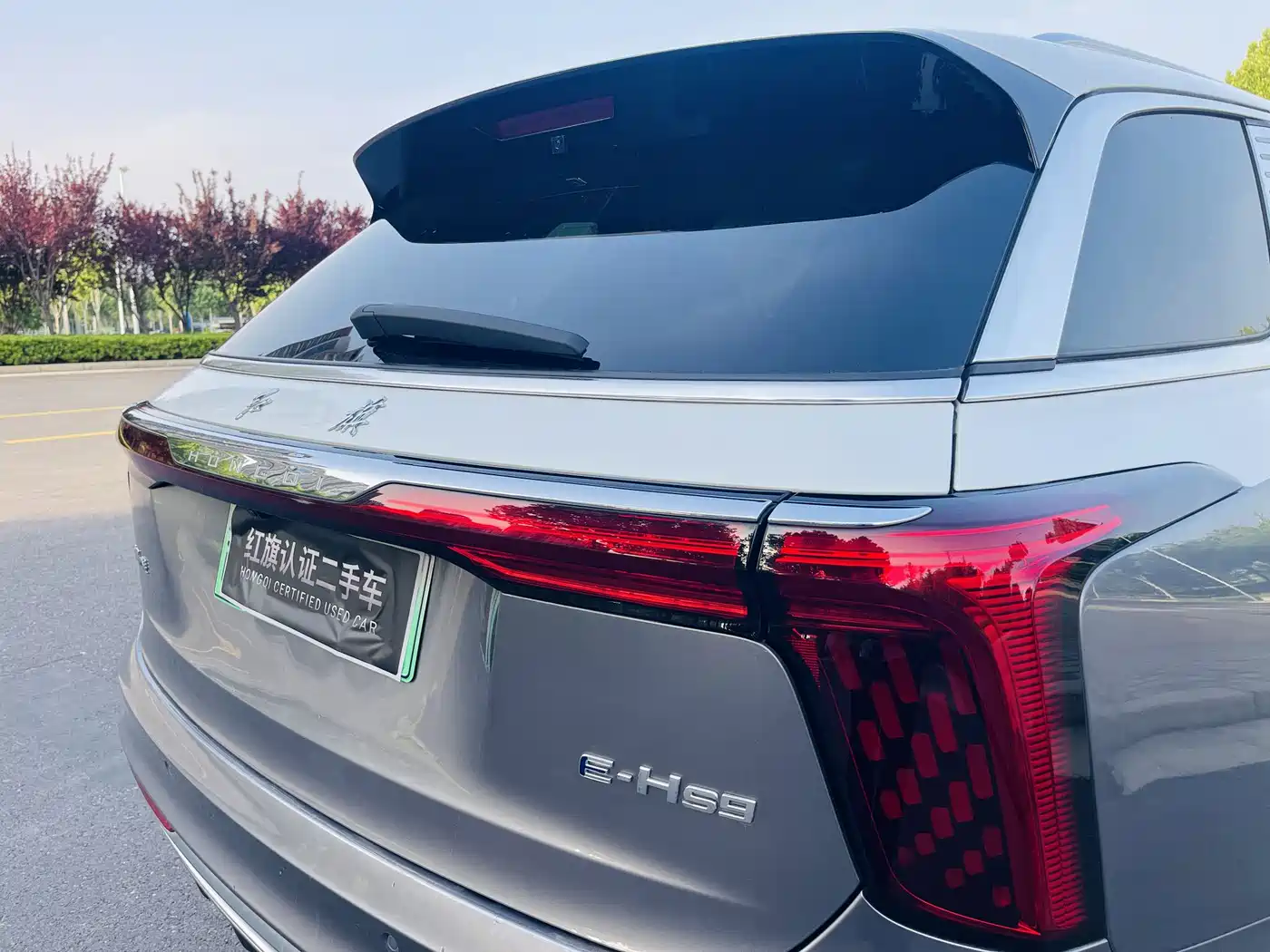 Hongqi E-HS9 2022 660km Qi Ling Edition (4-seater) фото 27