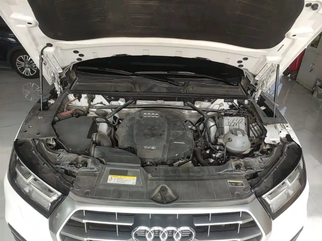 Audi Q5L 2018 45 TFSI Exclusive Fashion (China V) фото 20