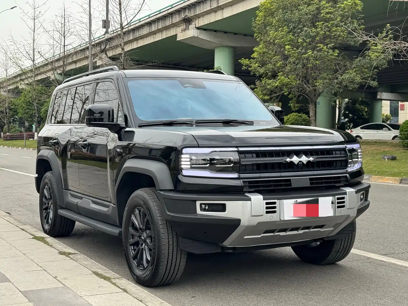 FANG CHENG BAO LEOPARD 5