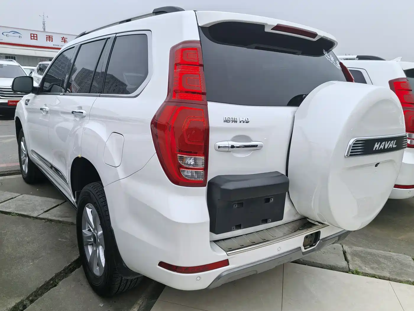Haval H9 2020 2.0T Gasoline 4WD Luxury 7-Seater фото 16