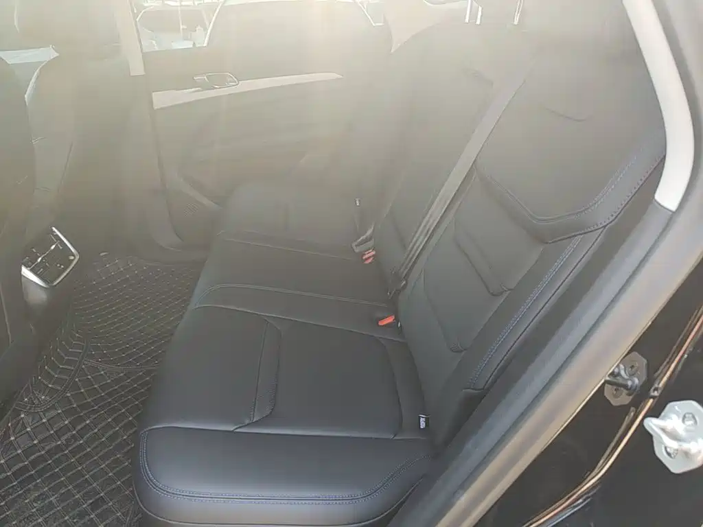 Ford Lingrui 2025 2025 EcoBoost 170 Platinum