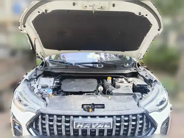 Haval Chitu 2021 Turbo Edition 1.5T Golden Rabbit — фото 3