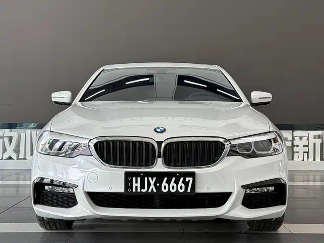 BMW 5 Series 2018 530Li Leading M Sport Package — фото 2