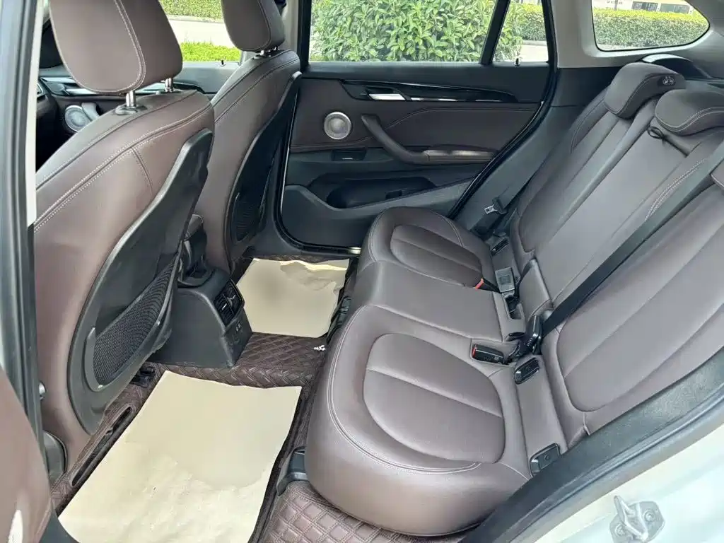 BMW X1 New Energy 2020 2020 xDrive30Le Premium Edition