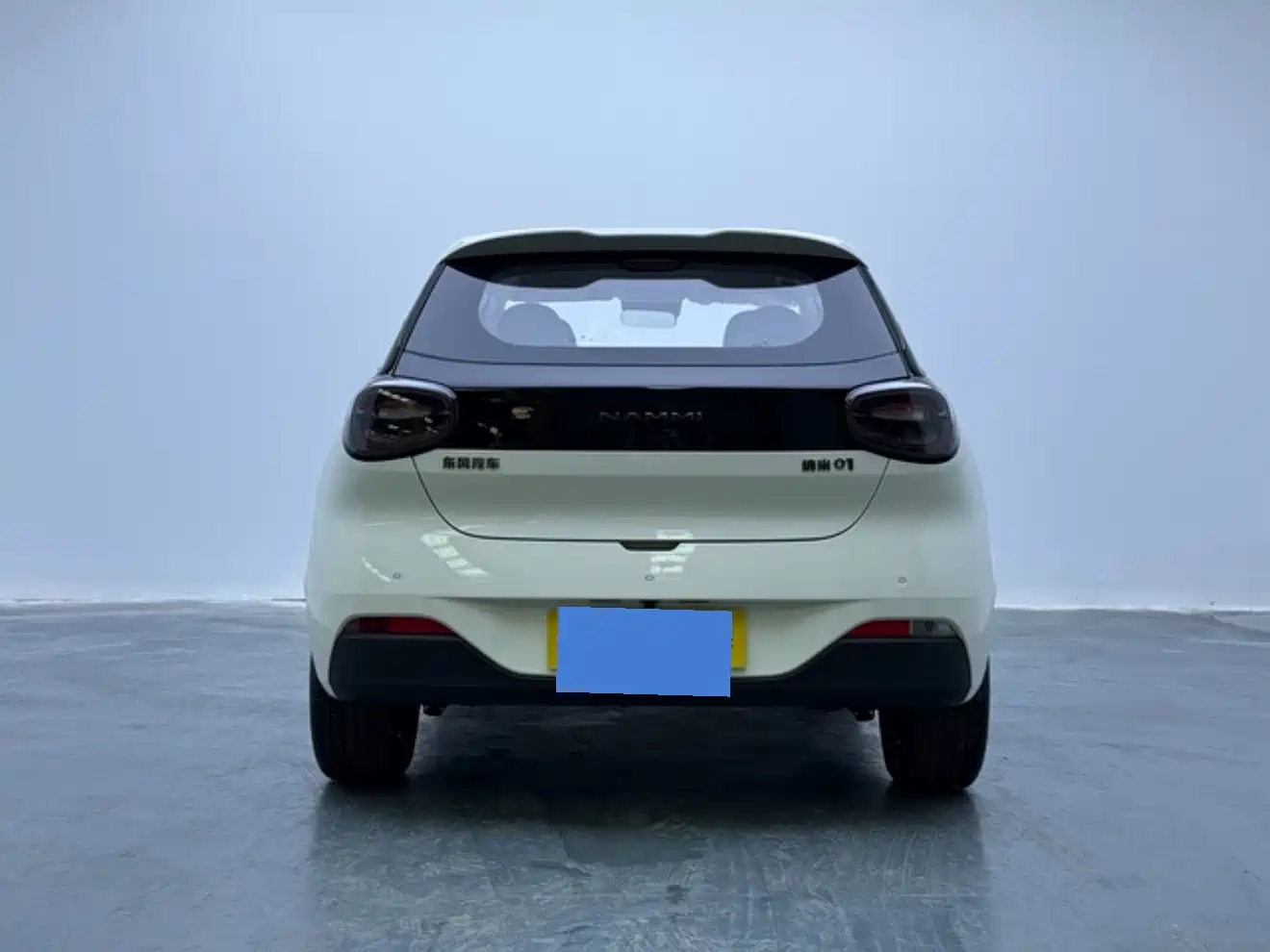 Dongfeng Yipai Nano 01 2026 2026 True Love Edition 330 Pro