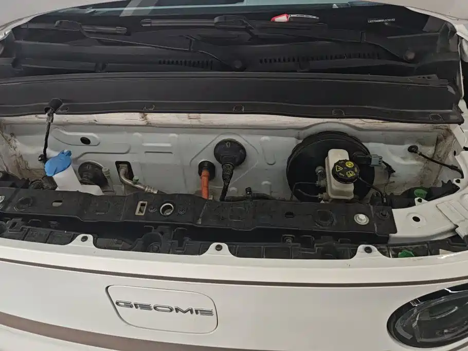Фото 10 - Geely Galaxy Panda