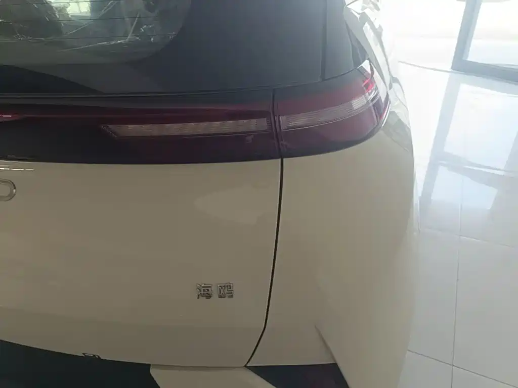 BYD Seagull 2026 2025 305km Vitality