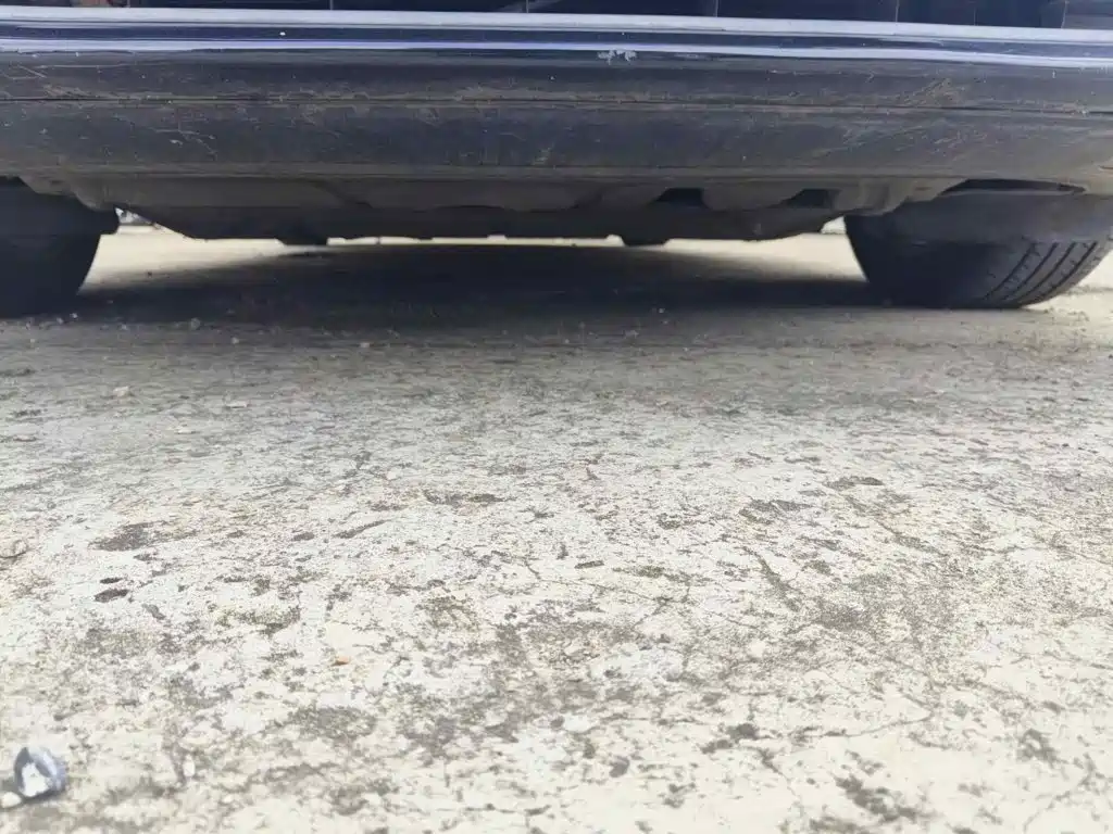 Фото 9 - Volkswagen Sagitar