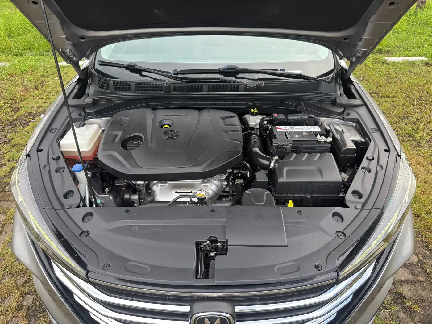 Фото 19 - Changan Eado