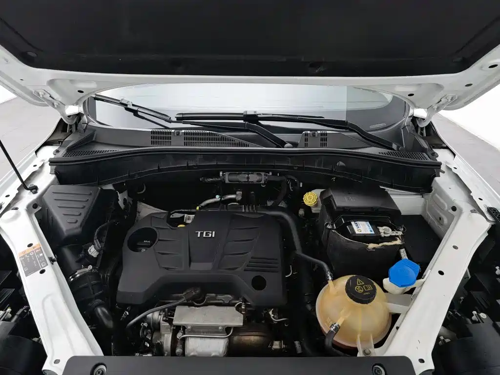 Фото 6 - Roewe RX5
