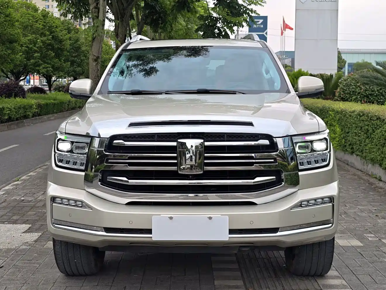 Tank 500 2023 2022 3.0T Sport Edition Zaojing 5-Seater