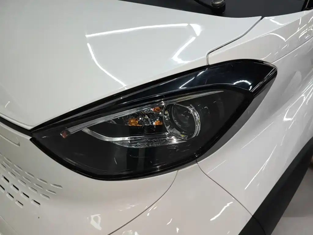 Фото 24 - Baojun E100
