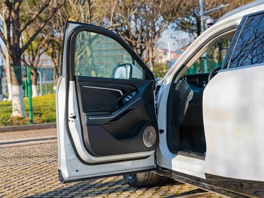 Voyah Auto VOYAH FREE 2024 Ultra Long Range Intelligent Driving Edition фото 8