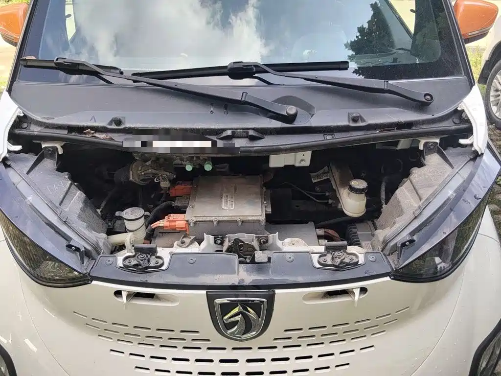 Baojun E100 2019 2019 250KM Smart Edition