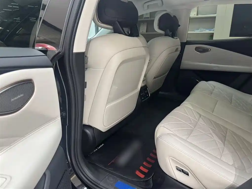 Lynk & Co 10 EM-P 2025 Model 120km Base Version фото 22