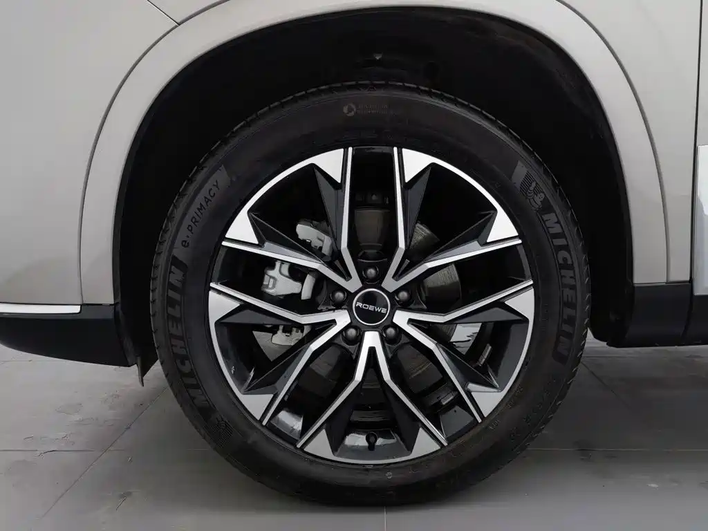 Roewe RX9 2024 2023 2.0T 2WD Premium Edition
