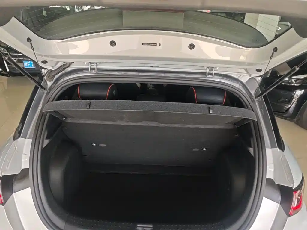 BYD Dolphin 2022 2021 405km Freedom Edition