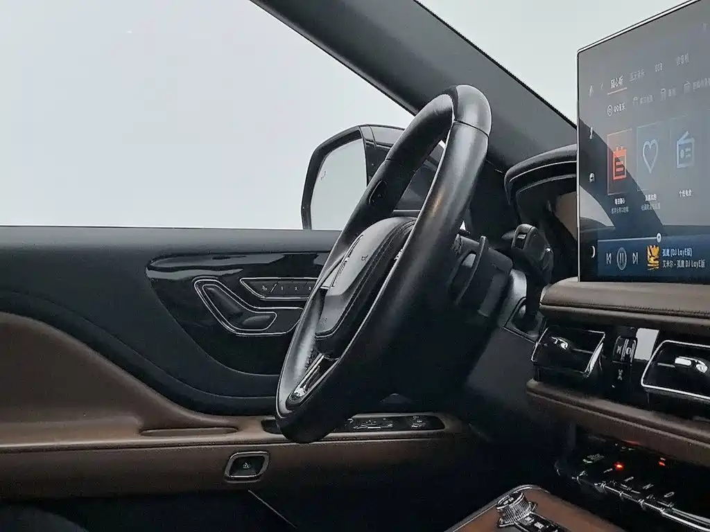 Photo 22 - Lincoln Aviator