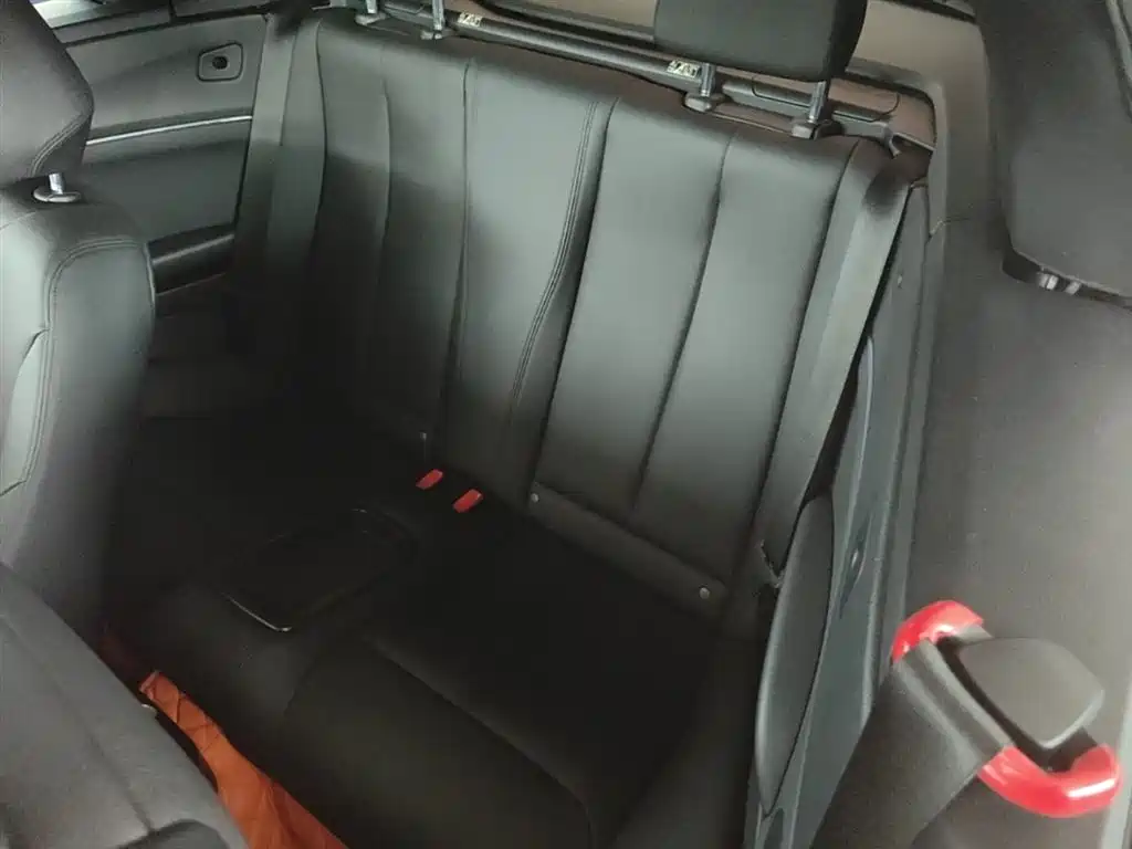 BMW 2 Series (Import) 2015 218i Convertible Coupe фото 17