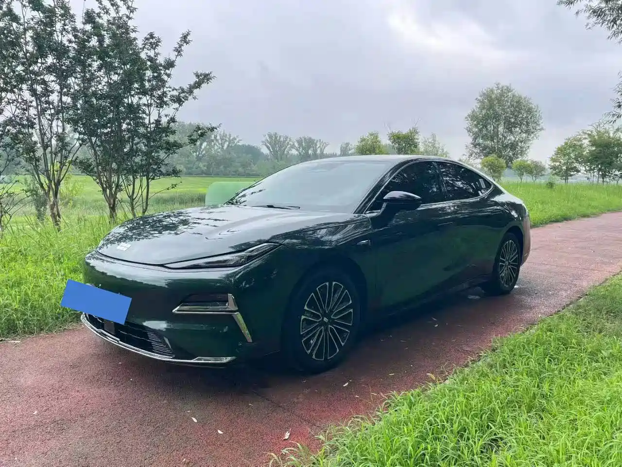 Geely Galaxy Galaxy Xingyao 8 2025 130km EM-i Premium Edition