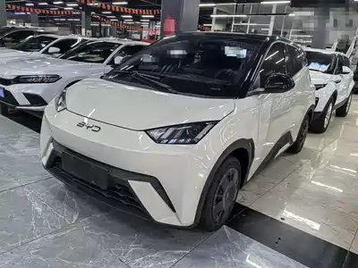 BYD Seagull