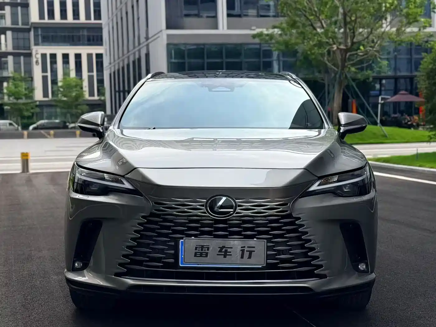 LEXUS RX
