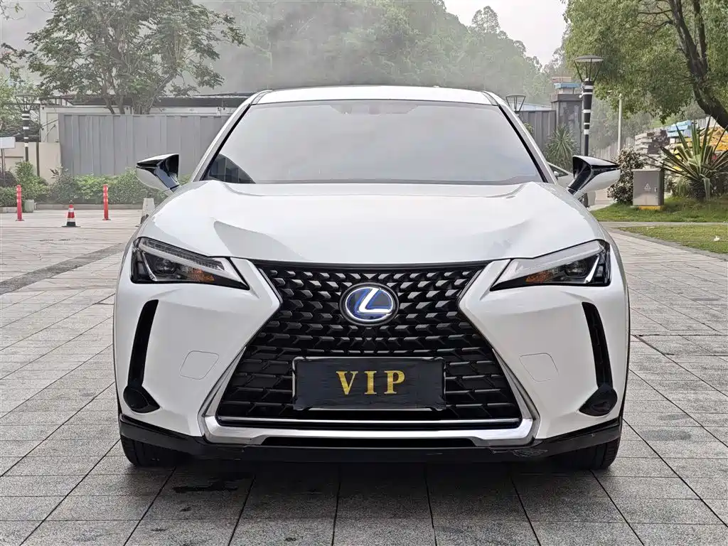 Lexus UX 2020 260h Explore Cool Edition China V фото 2