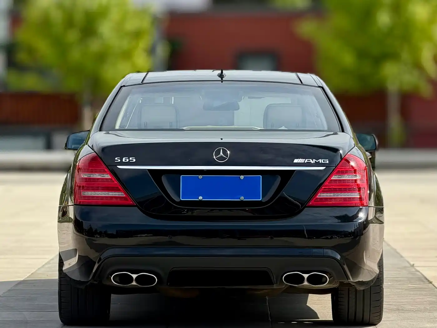 Mercedes-Benz S-Class AMG 2010 AMG S 65 фото 5