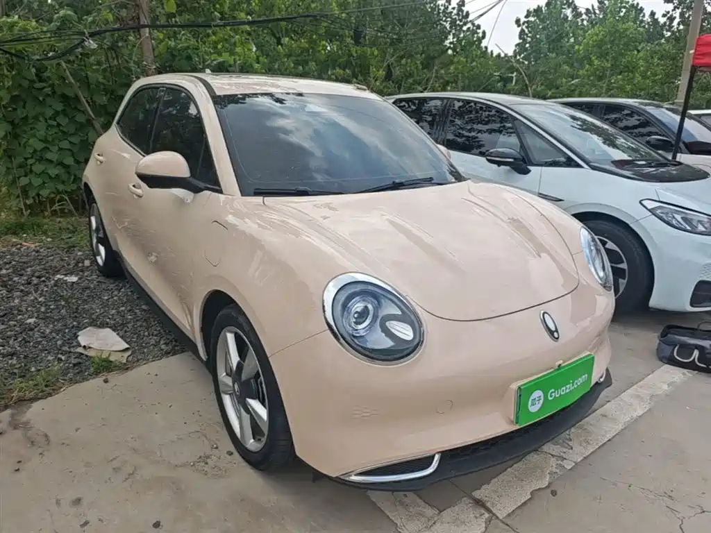 Ora Good Cat 2024 2024 401km Honor 135kW