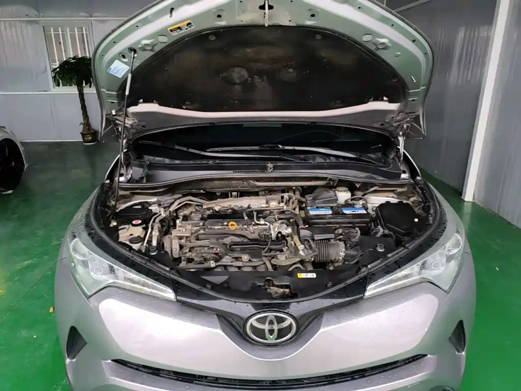 Toyota IZOA 2019 2018 2.0L Yichi Edition China V