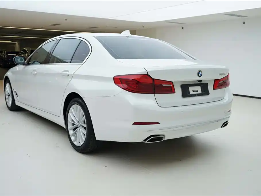 BMW 5 Series 2020 525Li Luxury Package фото 5