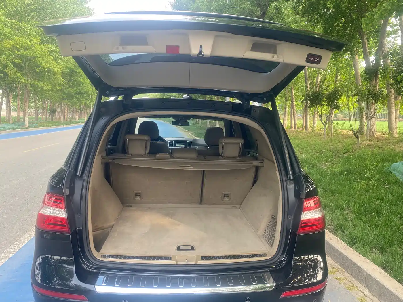 Mercedes-Benz M-Class 2015 ML 320 4MATIC фото 9