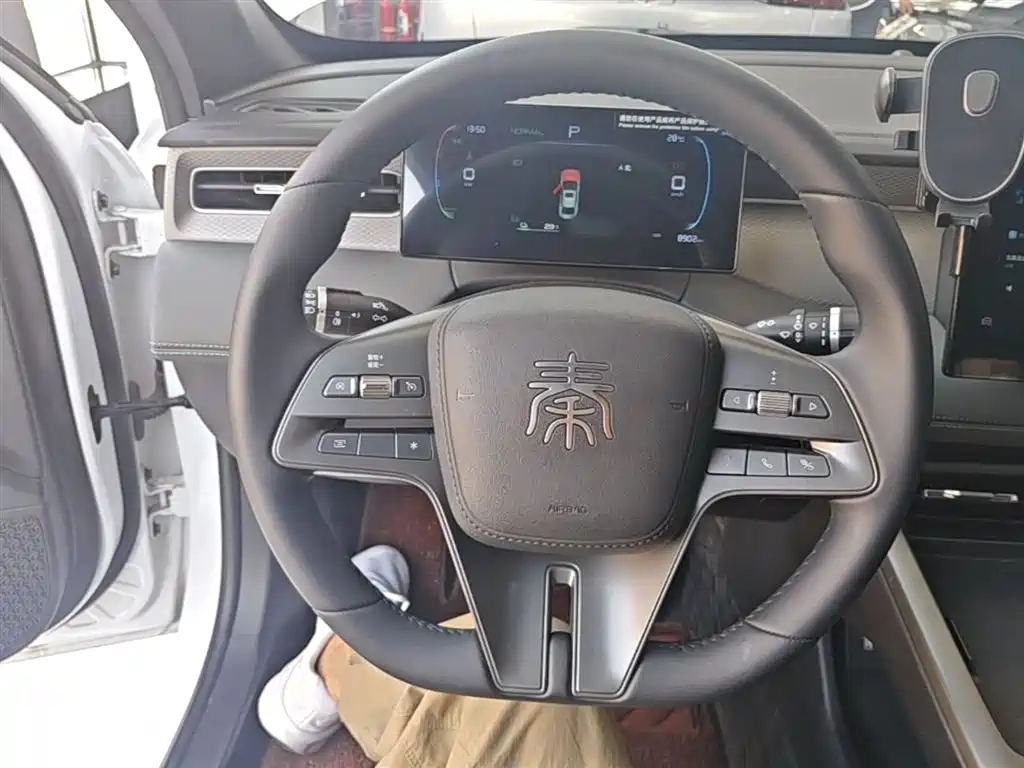 BYD Qin PLUS 2025 DM-i Smart Drive 55KM Leader фото 11