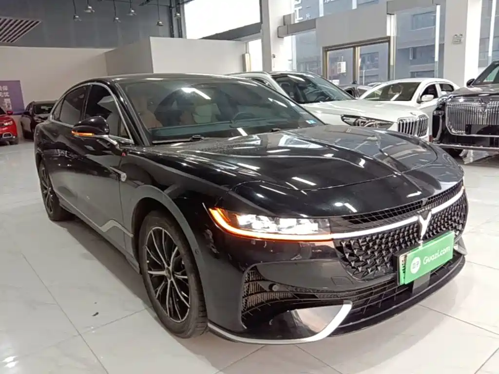 Voyah Passion 2024 2024 PHEV AWD Ultra-long Range Executive Edition