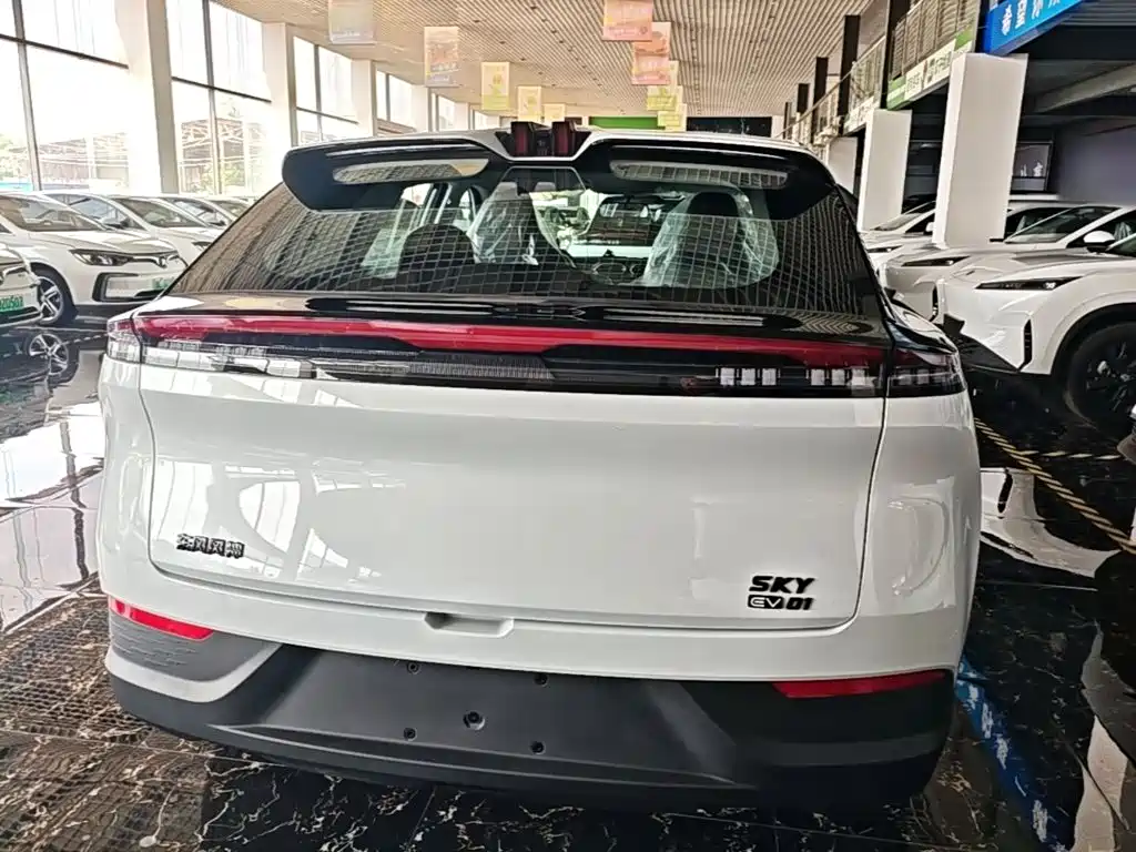 Фото 4 - Dongfeng Aeolus SKY EV01