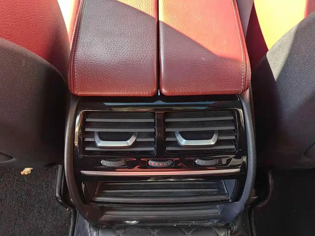 BMW 5 Series 2020 530Li Leading M Sport Package фото 12