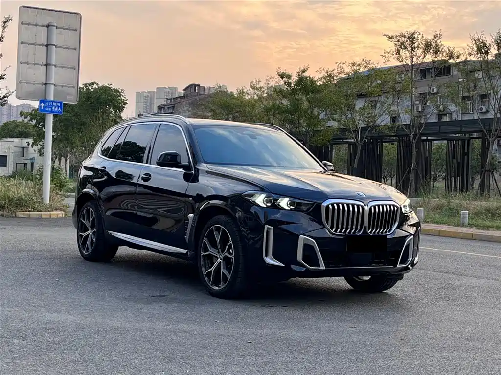 BMW X5 2023 xDrive 30Li Premium M Sport Package фото 3