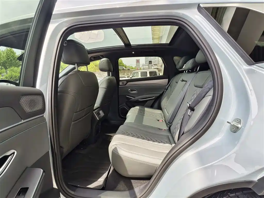 BYD Song L DM-i 2025 Smart Drive 160km Premium фото 8