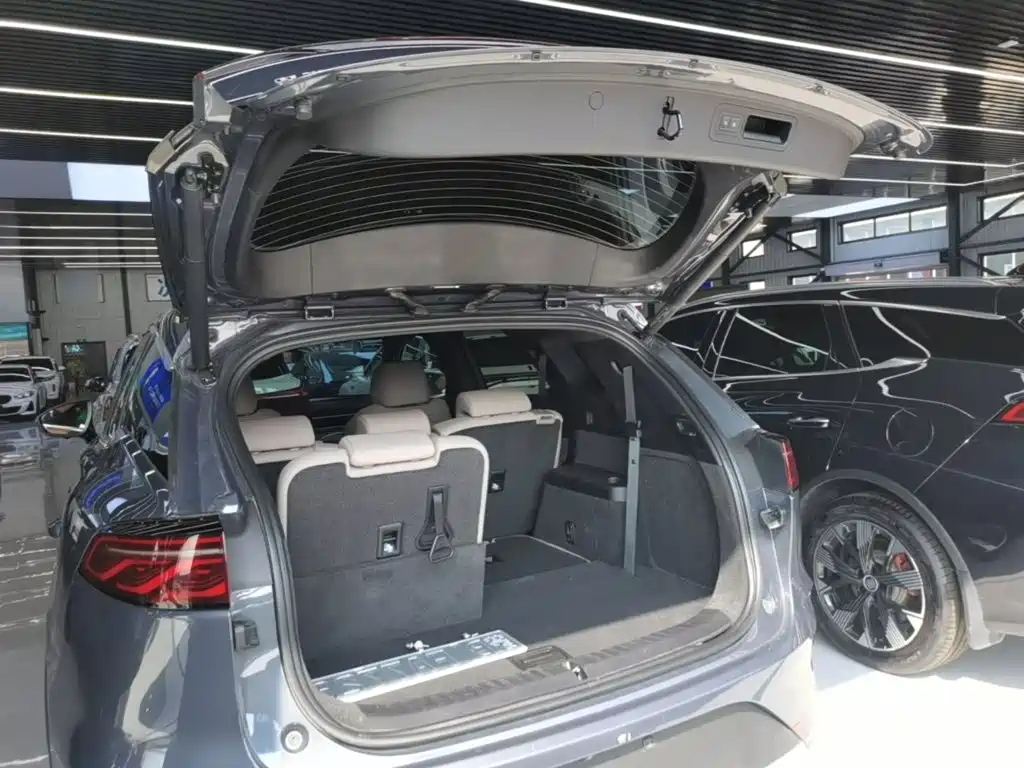 BYD Tang New Energy 2024 2024 DM-i Honor Edition 112KM Premium