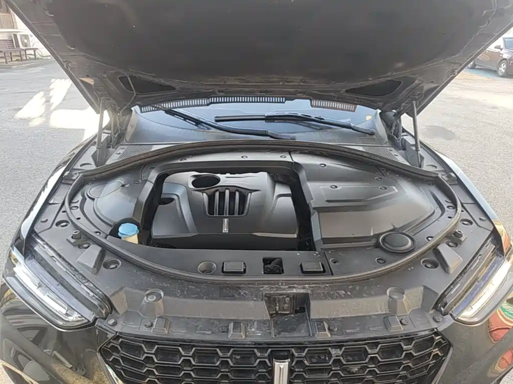 WEY VV7 2019 2017 2.0T Flagship