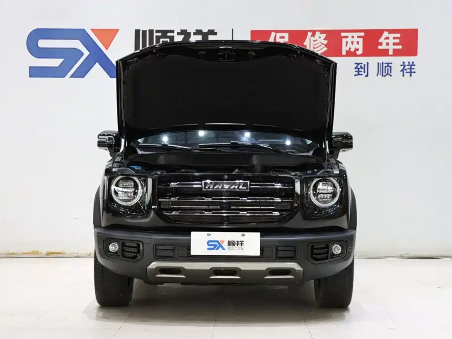 Haval Big Dog, миниатюра 18