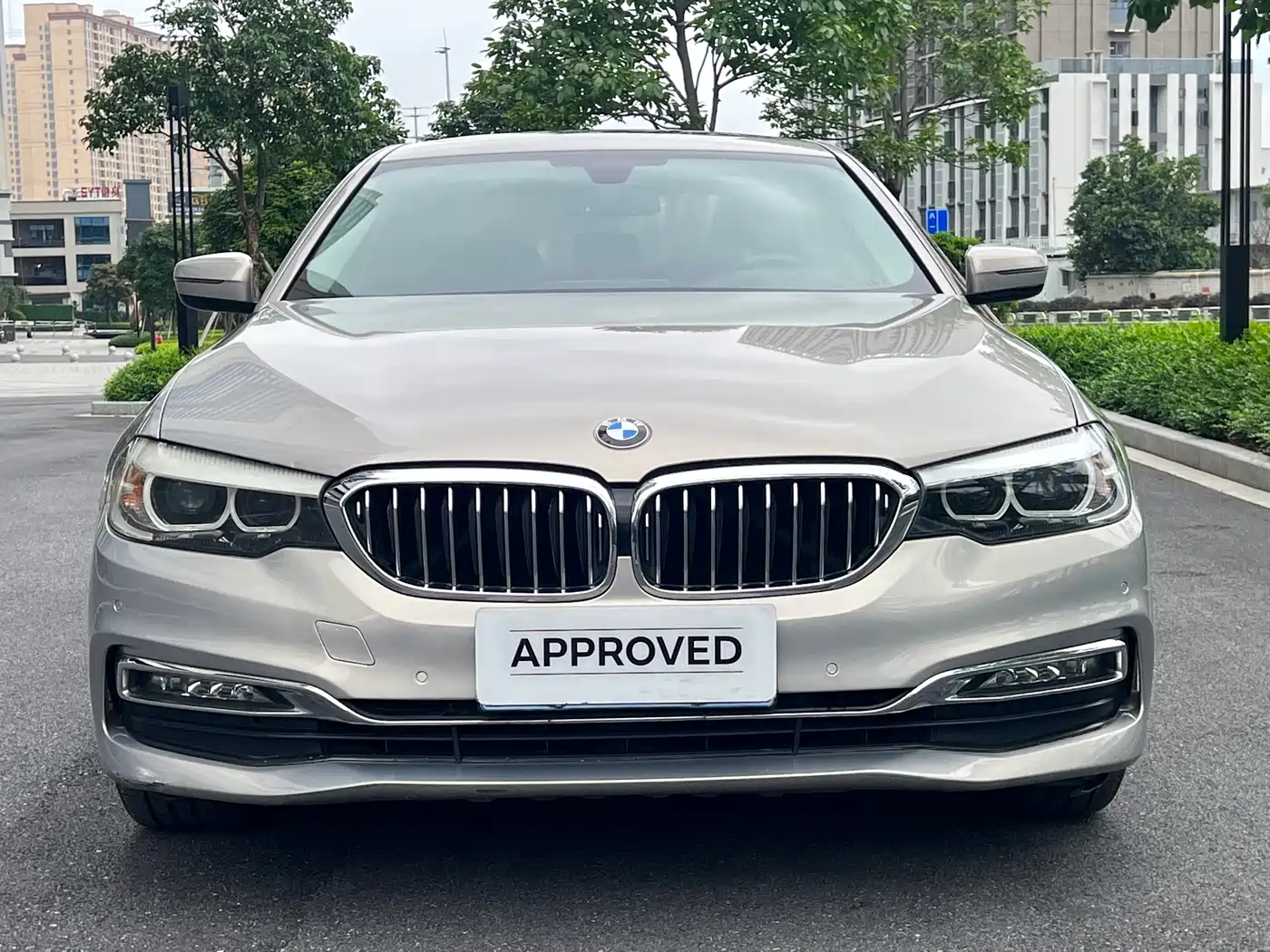 BMW 5 Series 2018 530Li Leading Luxury Package фото 2