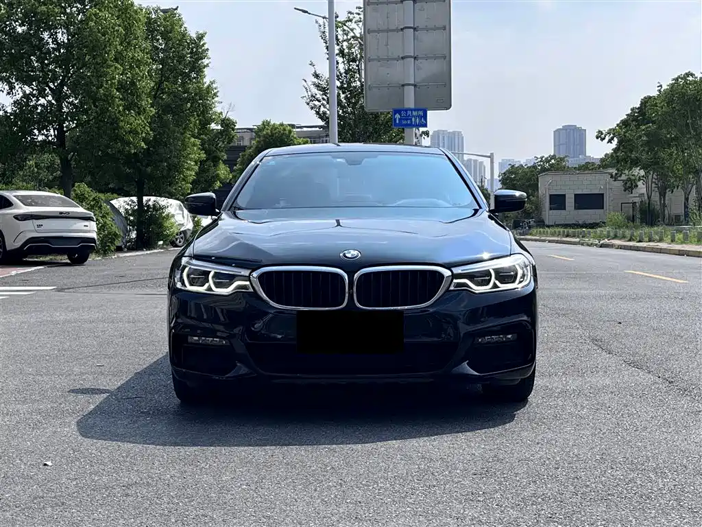 BMW 5 Series 2019 530Li Premium M Sport Package фото 2