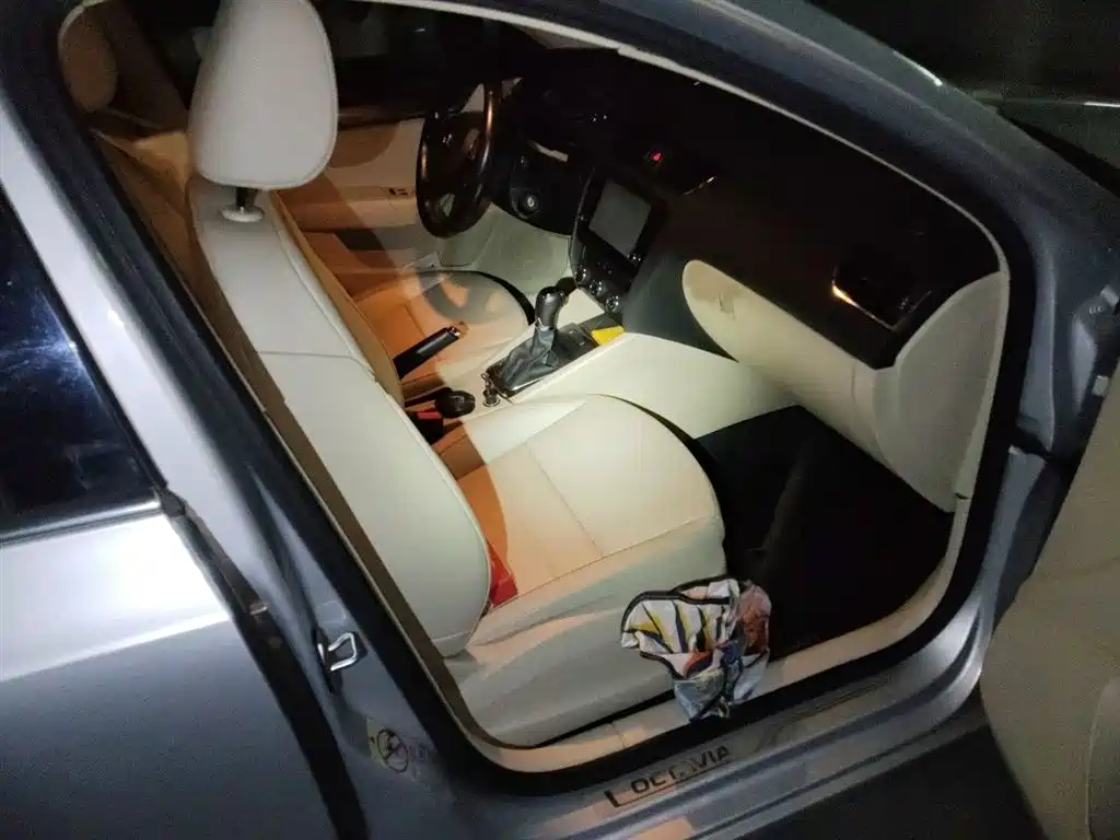 Škoda Octavia 2015 1.6L Automatic逸俊版 фото 20